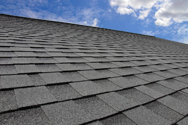 Best 4 Ply Roofing  in Erie, CO